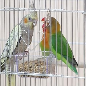 Pssopp 12Pcs Pet Birds Cage Metal Hook Clip, Iron Anti Escape Pet Bird Cage Door Buckle Lock Claw Snap Hook for Home Use Pet Supplies