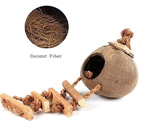 Tfwadmx Coconut Hide with Ladder, Natural Fiber Hanging Birdhouse Cage, Bird Shell Breeding Nest for Parrot, Parakeet, Lovebird, Finch, Canary (2 Pcs)