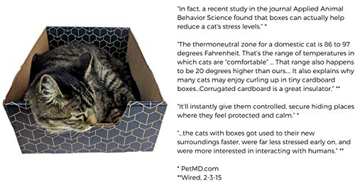 Purrfect Cat Box Modern Cat Box Lounger with Peek-a-Boo Cutout | Premium Corrugated Cardboard Cat Bed for Sleeping and Relaxation | Interactive Board Box for Indoor Kittens and Small Pets, Blue