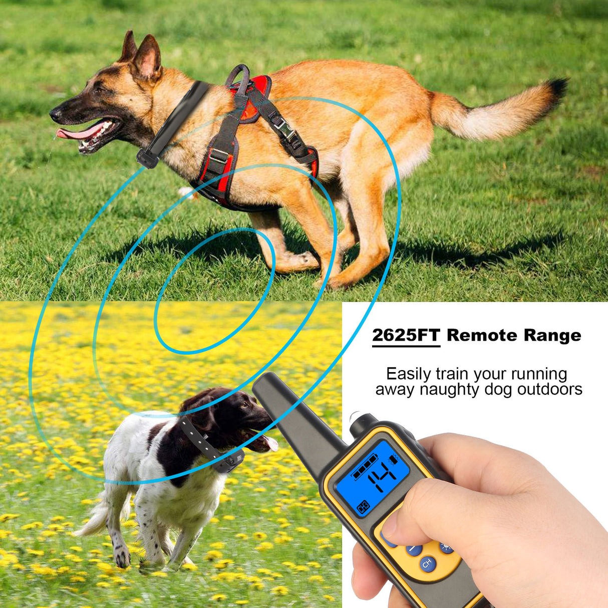 1Pc Dog Training Collar With Remote IP67 Waterproof Pet Trainer 300mAh Rechargeable 875 Yard Remote Control 4 Modes Adjustable Level