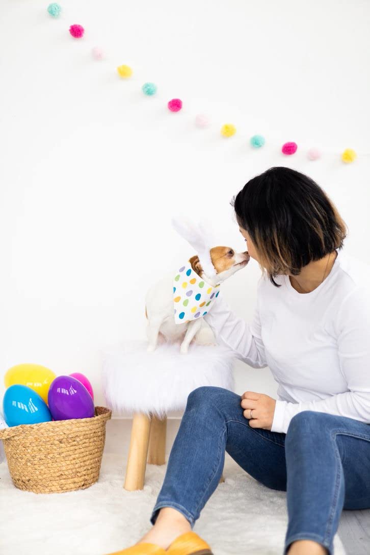 Pearhead Jelly Bean Dog Bandana, Easter Pet Scarf, Slip-On Collar Accessory for Small Medium Pets, Cute Puppy Costume, Spring Seasonal Pet Apparel