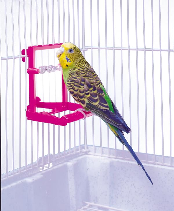 Penn-Plax Bird Life - Landing Perch with Mirror and Beads - Perfect for Parakeets, Finches, and Other Small Birds (BA504)