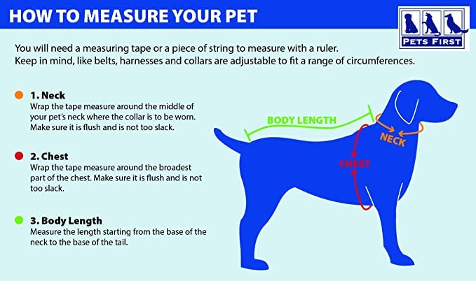 NBA Toronto Raptors Puffer Vest for Dogs & Cats, Size Large. Warm, Cozy, and Waterproof Dog Coat, for Small and Large Dogs/Cats. Best NBA Licensed PET Warming Sports Jacket