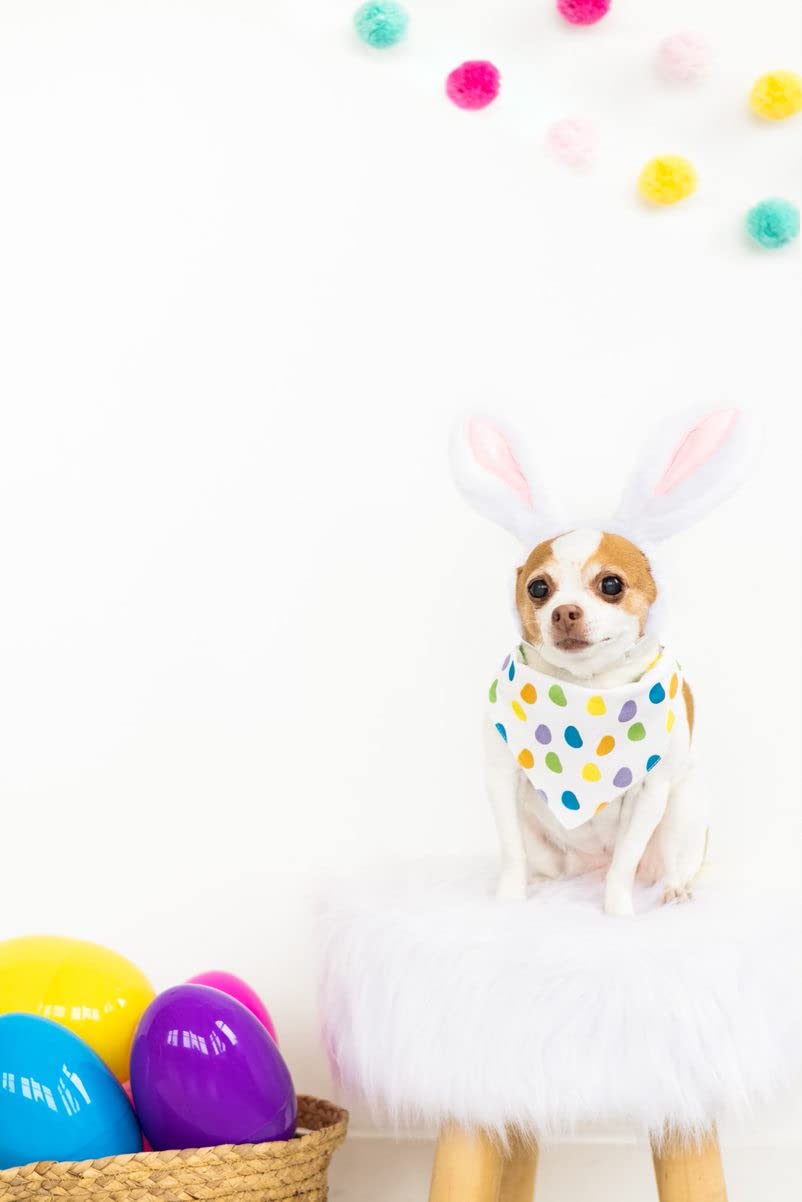 Pearhead Jelly Bean Dog Bandana, Easter Pet Scarf, Slip-On Collar Accessory for Small Medium Pets, Cute Puppy Costume, Spring Seasonal Pet Apparel