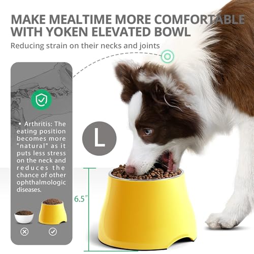 FluffyDream Elevated Bowls, Sturdy Non-Slip With Stainless Steel Bowl, for Wearing Cone, Long Ears, Large Dogs - Colorful Raised, LemonYellow, L (860ML / 3 Cups)