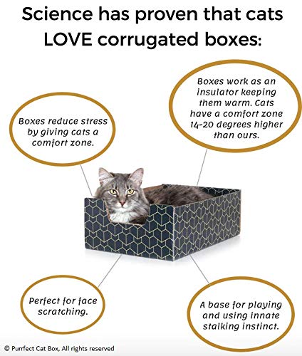 Purrfect Cat Box Modern Cat Box Lounger with Peek-a-Boo Cutout | Premium Corrugated Cardboard Cat Bed for Sleeping and Relaxation | Interactive Board Box for Indoor Kittens and Small Pets, Blue