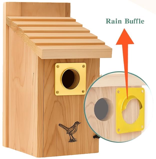 Bird House Guard Hole Plate - Larger Stainless Steel Shape with Rain Buffle - Entrance Predator Guards Metal Plate - 38 mm 1.5" Hole Sizes - Square Rings Entry Hole Protector (Golden 6 Pieces)
