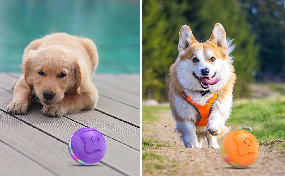 Interactive Dog Toys Ball, Automatic Rolling Toy, Lively Pet Ball For Medium ,Large Dogs To Relieve Boredom, Activated Automatic Motion Dog Balls Toy With LED Flash, USB Rechargeable Orange Purple