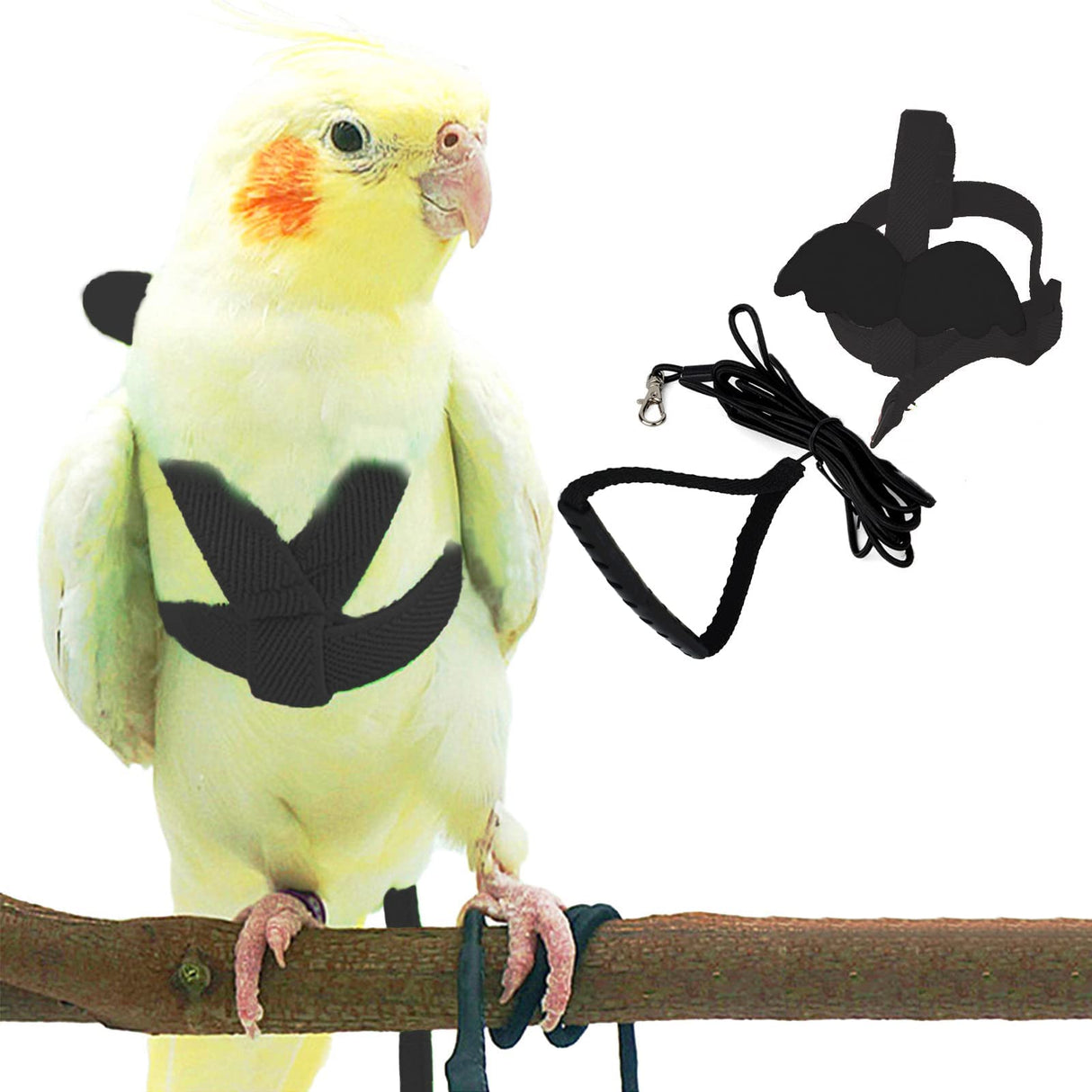 Cockatiel Harness and Leash, Adjustable Parrot Bird Training Design Anti-Bite, Bird Nylon Rope with Cute Wing for Cockatiel and Same Size Birds (L, Black)