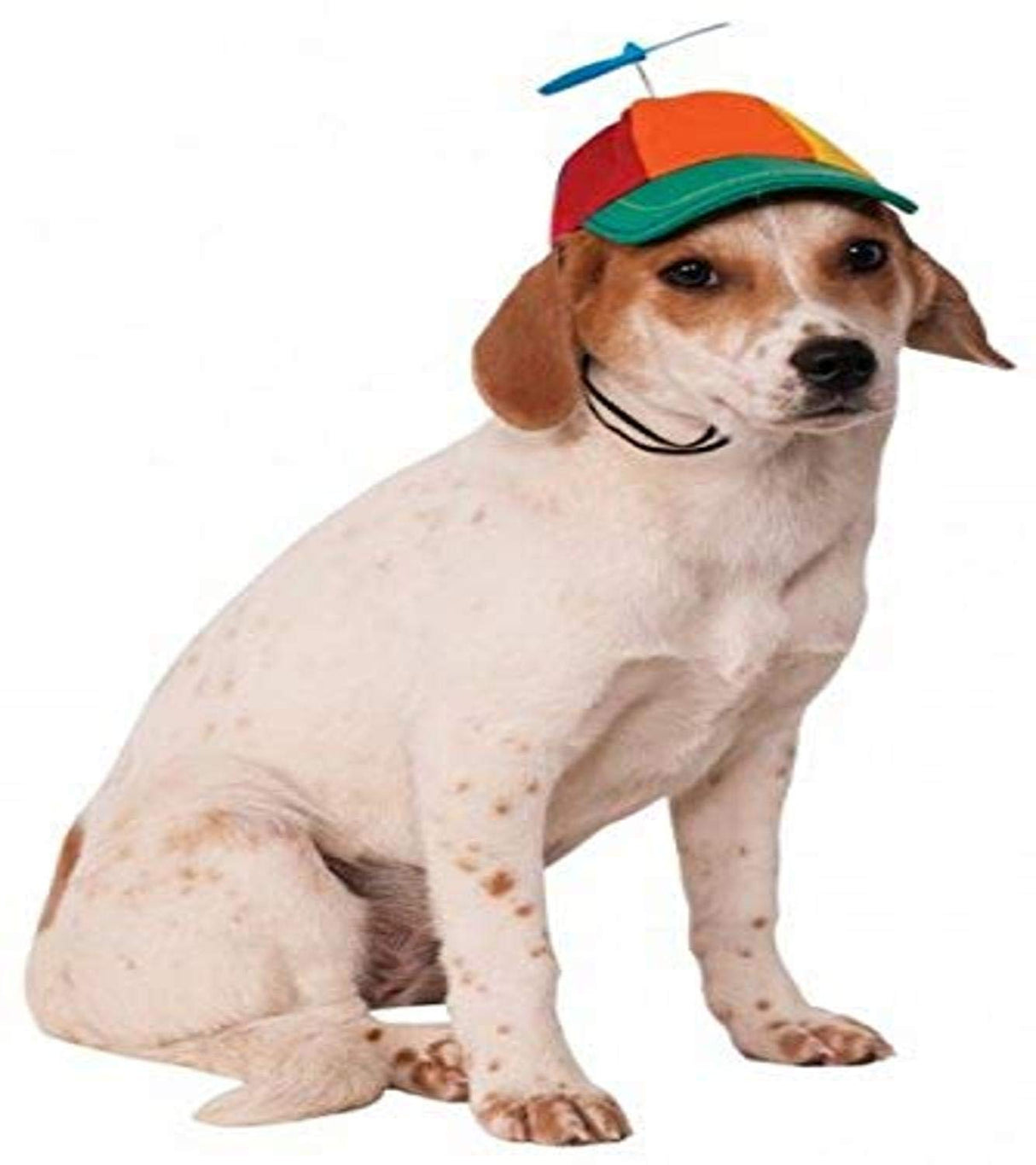 Rubies Propeller Hat Pet Hat for Dogs or Cats, M/L