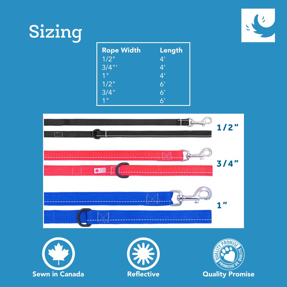 RC Pets 1" x 6 ft Primary Collection Dog Leash, Purple