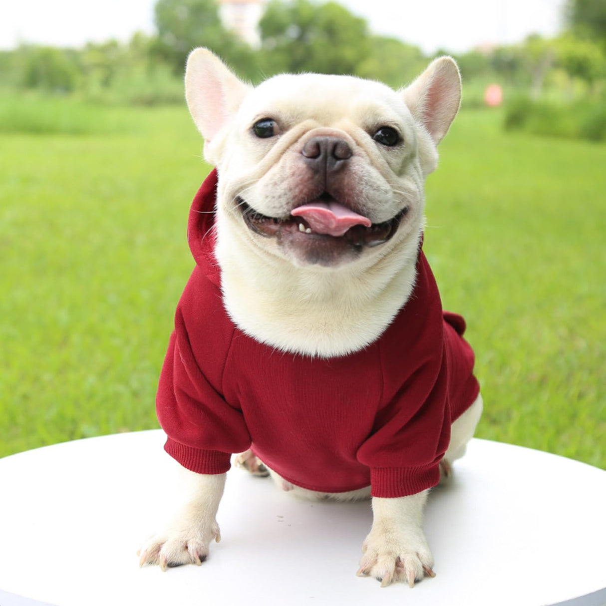 Pet Hoodie with Pocket,Soft Lined Dog Apparel for Pets of Different Sizes,Warm Outfit for Daily Wear and Outings