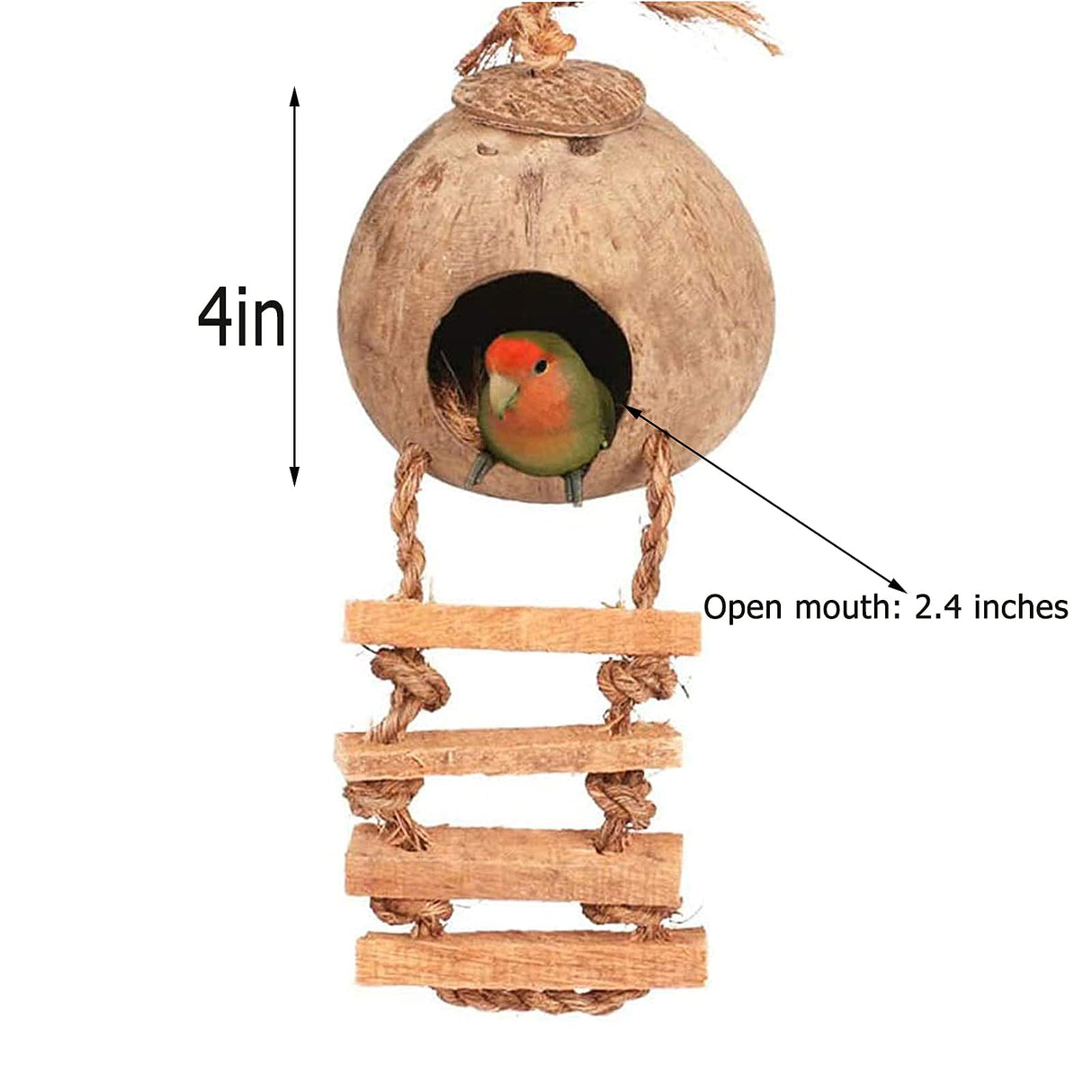 Tfwadmx Coconut Hide with Ladder, Natural Fiber Hanging Birdhouse Cage, Bird Shell Breeding Nest for Parrot, Parakeet, Lovebird, Finch, Canary (2 Pcs)