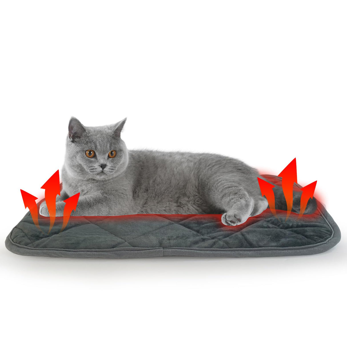 AUPETEK Self-Warming Cat Bed Indoor/Outdoor Super Soft Self Heating Pet Mat Washable Thermal Pad for Cat & Dog 21x15.7 inch