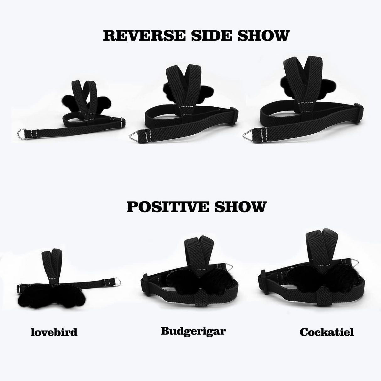 Cockatiel Harness and Leash, Adjustable Parrot Bird Training Design Anti-Bite, Bird Nylon Rope with Cute Wing for Cockatiel and Same Size Birds (L, Black)