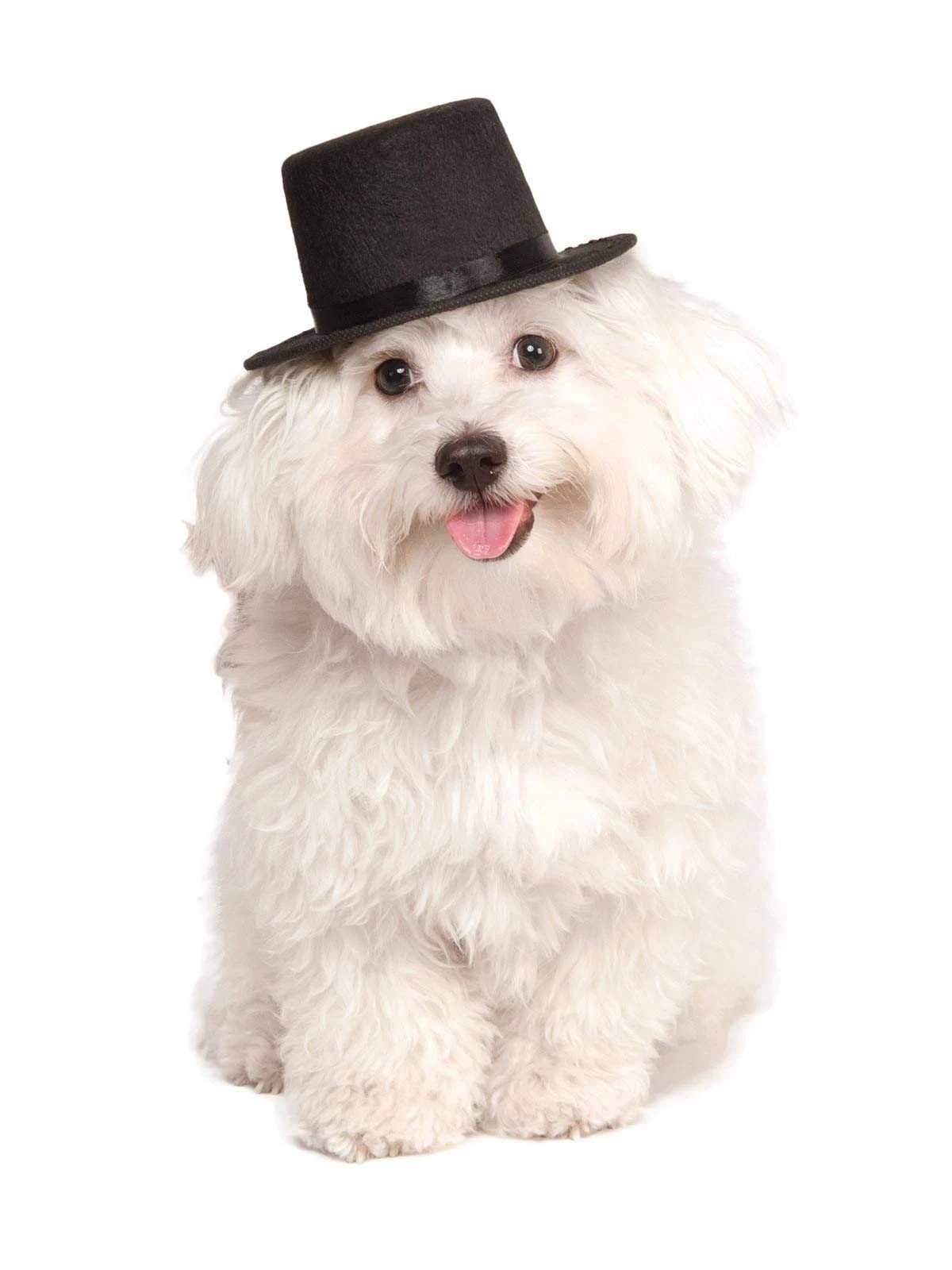 Rubies Top Hat Pet Hat for Dogs or Cats, S/M