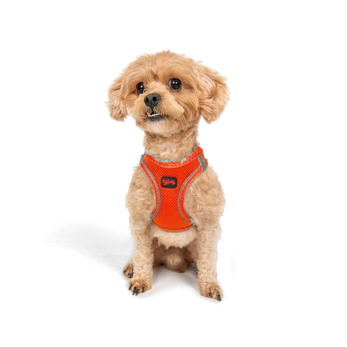 Tailpetz Dog Harness with Breathable Mesh, Reflective, Step-in, No Pull Dog Vest Harness for Small and Medium Dogs and Cats, Neon Orange, 3XS