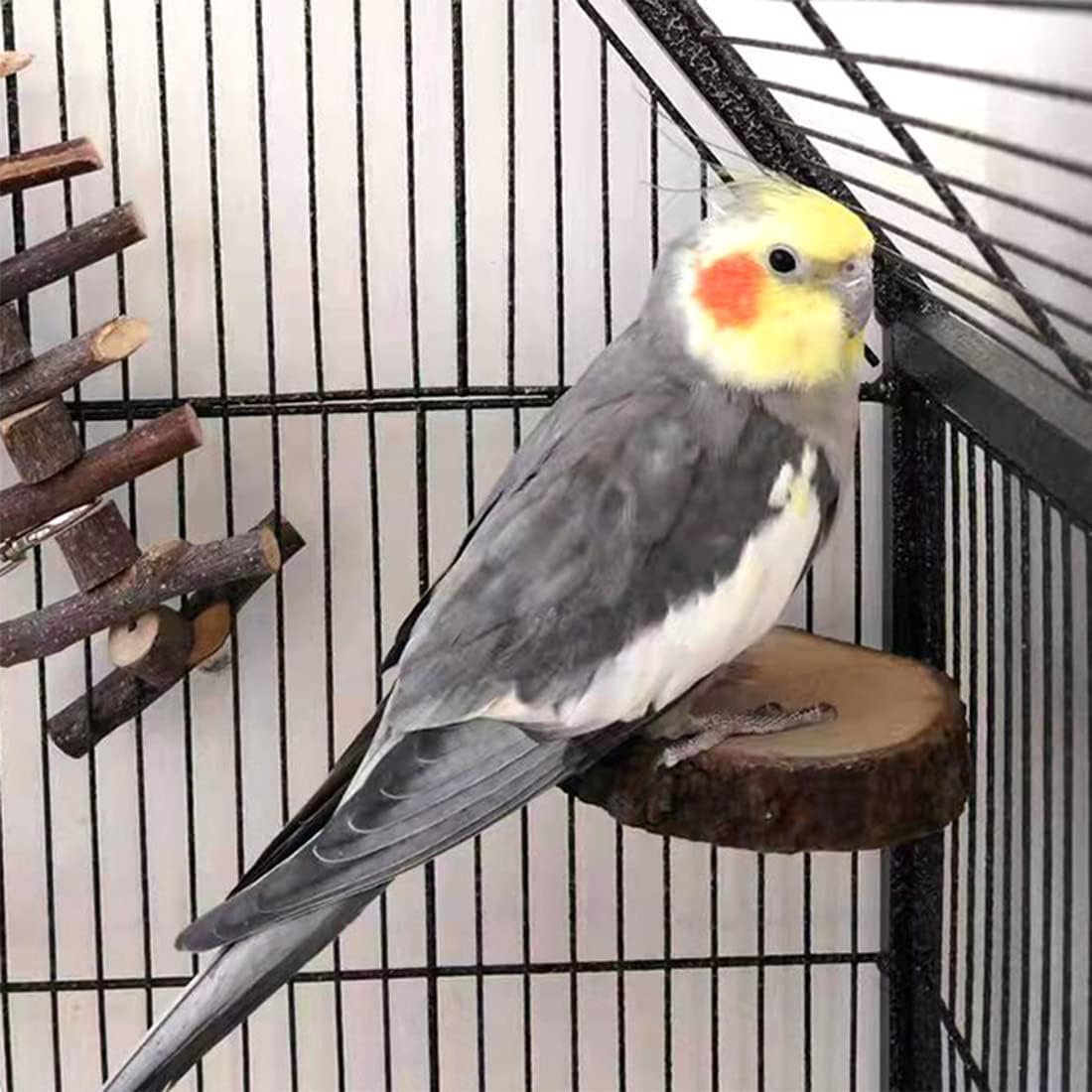 Hamiledyi Perch Platform for Bird Cage,Natural Round Wooden Stand Platform Bird Toy for Canary Parakeet Cockatiel Parrot Budgie Sparrow(3 Pcs)