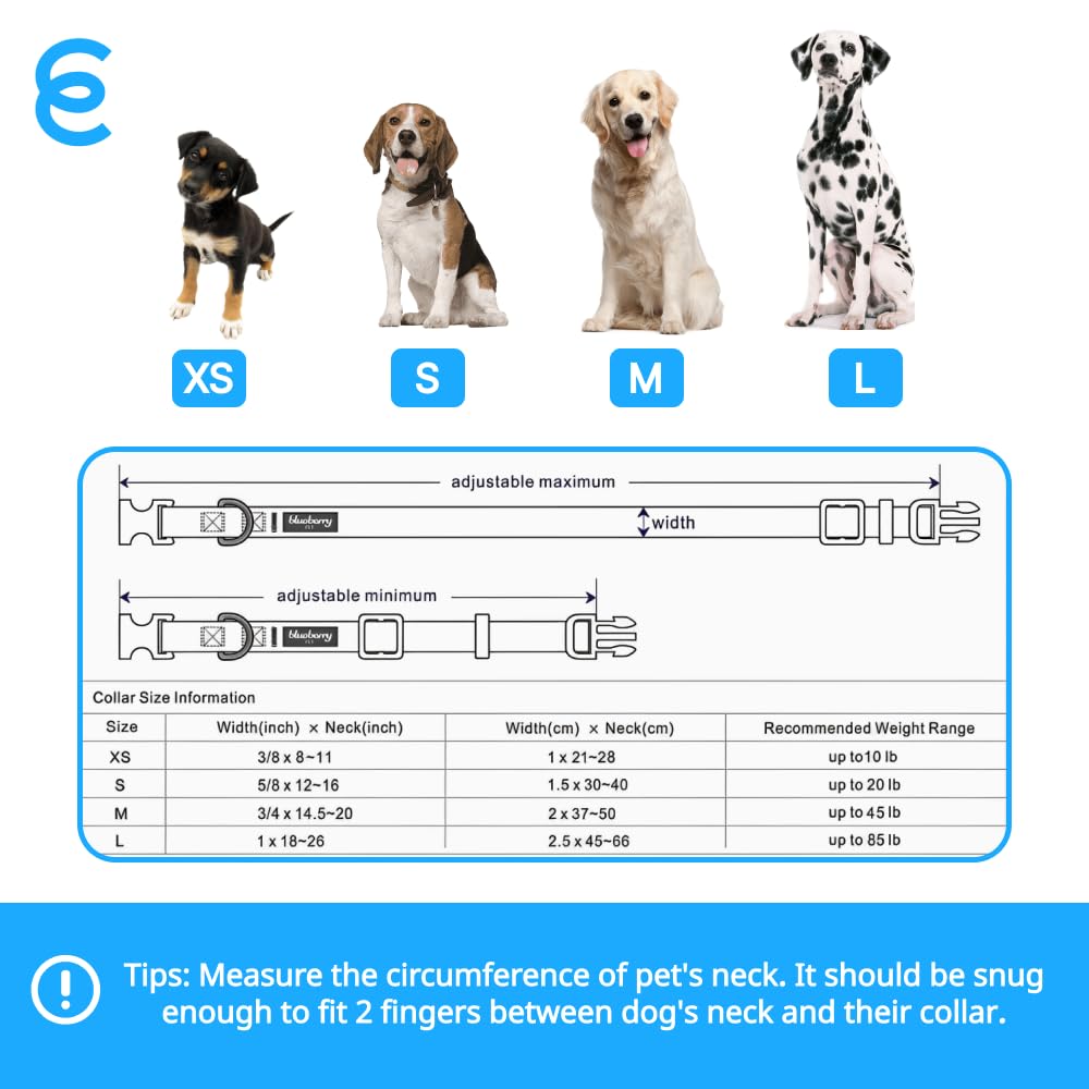 Blueberry Pet Essentials Small Dog Collar in Neon Green | Adjustable & Eco-Friendly Durable Nylon Strap | Classic Collar for Small Dogs, Boy & Girl Pets