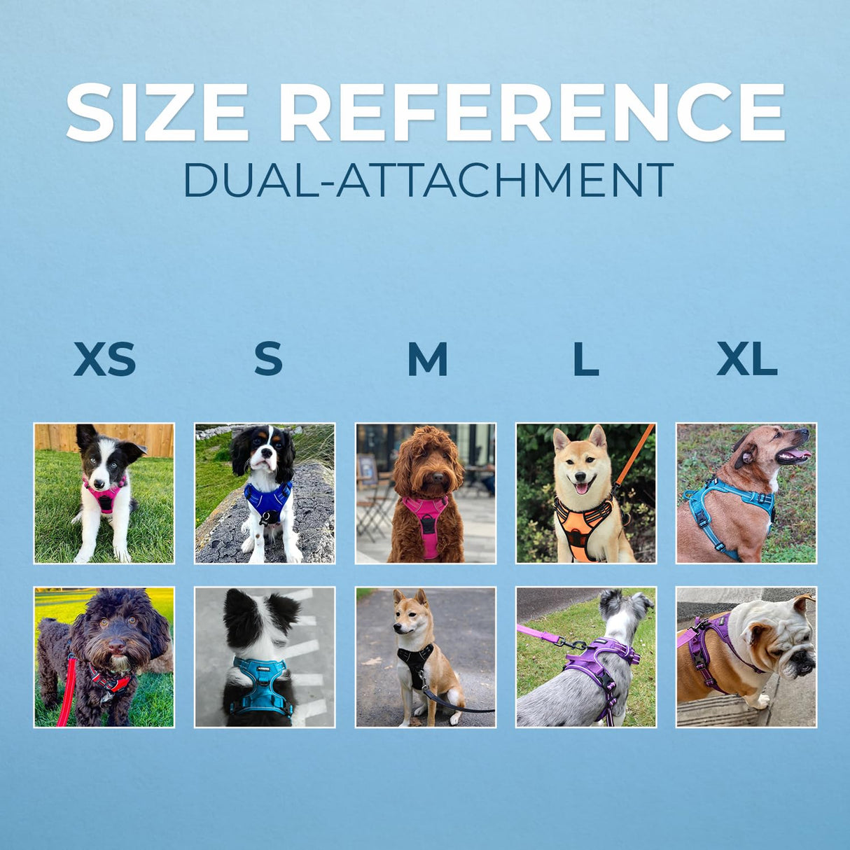 Voyager No Pull Dog Harness for Large Dogs, Dual Leash Attachments, Adjustable Soft but Strong Pet Harness with 3M Reflective Technology, Royal Blue Lattice Nylon, M (Chest: 20-25")