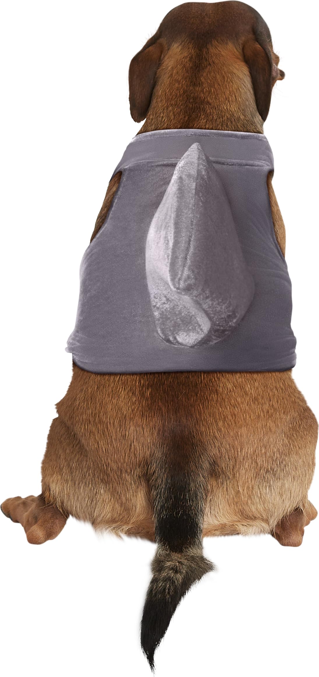 Rubies Shark Fin Pet Costume for Dogs or Cats, M/L