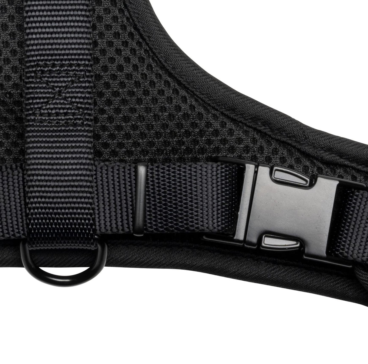 Juicy Couture Leopard Print Dog Harness and Leash Set β Adjustable Puppy Harness with Puppy Leash & Mesh Padding Dog Harness, Large