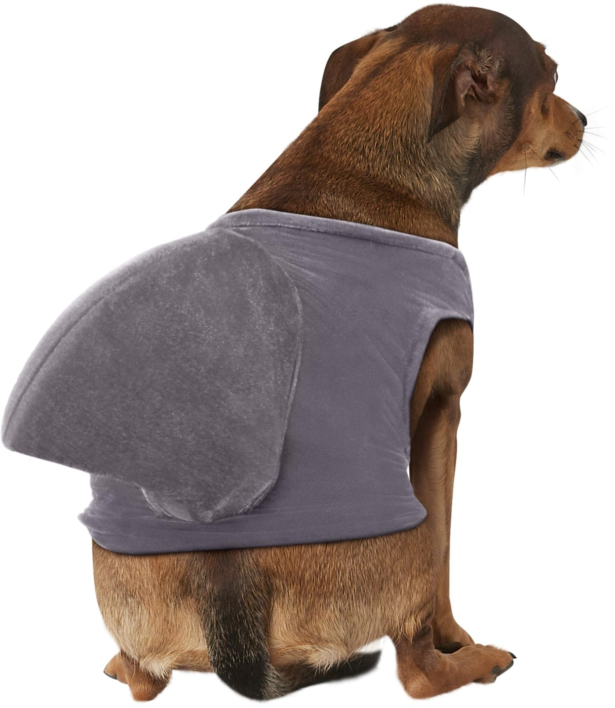Rubies Shark Fin Pet Costume for Dogs or Cats, M/L