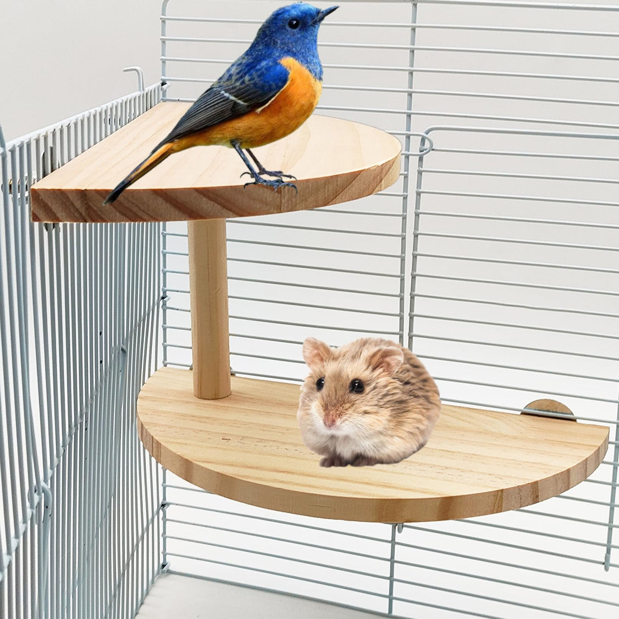 Hamiledyi Birds Perch 2 Level Natural Hamster Standing Platform - Squirrel Gerbil Dwarf Wooden Chinchilla Cage Accessories - Small Animal and Parrots Activity Playground