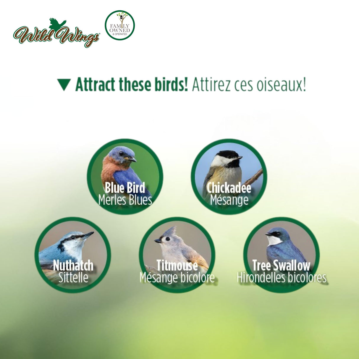 Wild Wings Decorative Bluebird House Olive Blossoms, Green