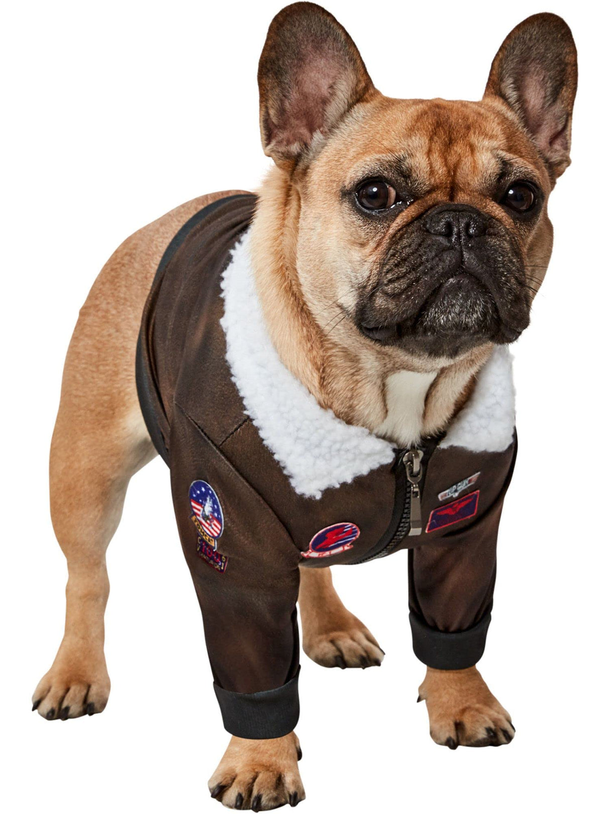 Top Gun: Maverick Pet Costume for For Dogs or Cats by Rubies, XS