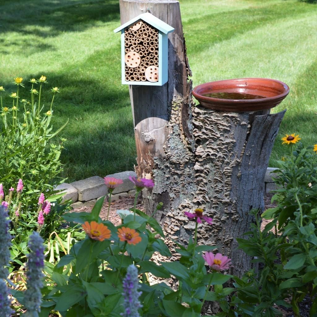 Nature's Way Bird Products PWH1-C Teal Bee House