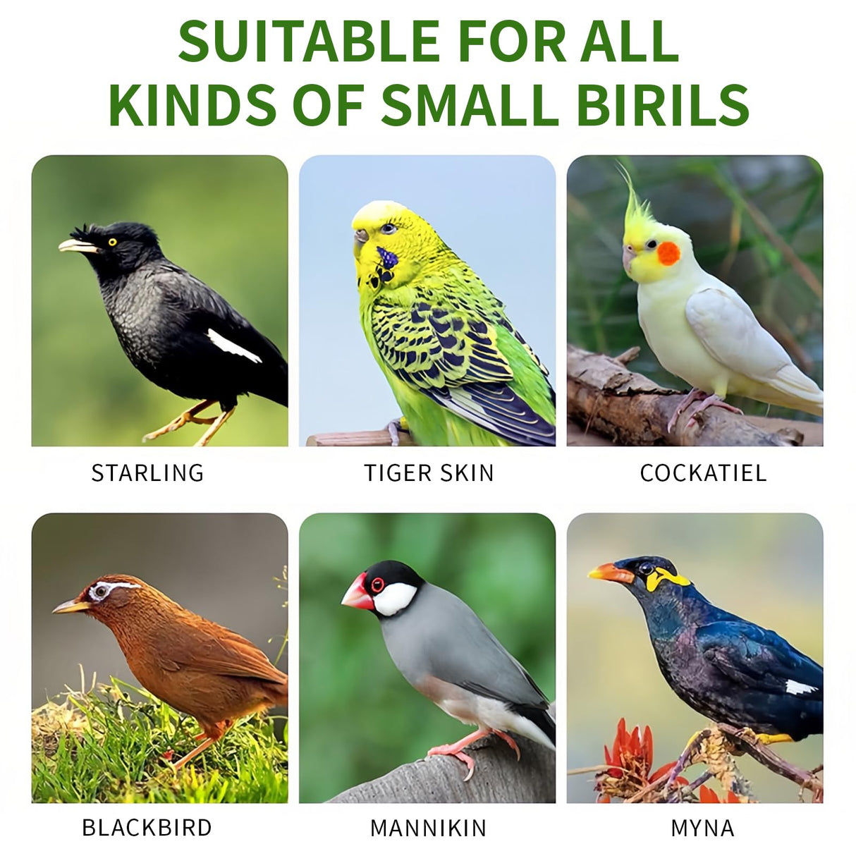 Pet Bird Automatic Water Dispenser,Bird Cage Hanging Drinking Device,Automatic Parrot Water Feeder,Budgies, Birds, Love Birds, Canary Drinking Fountains.