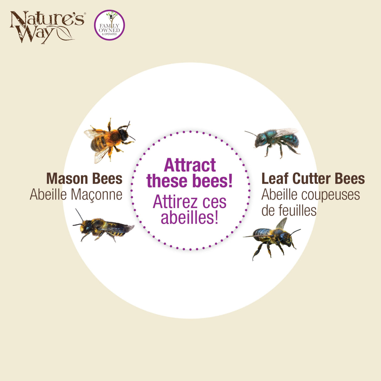 Nature's Way Bird Products PWH1-C Teal Bee House