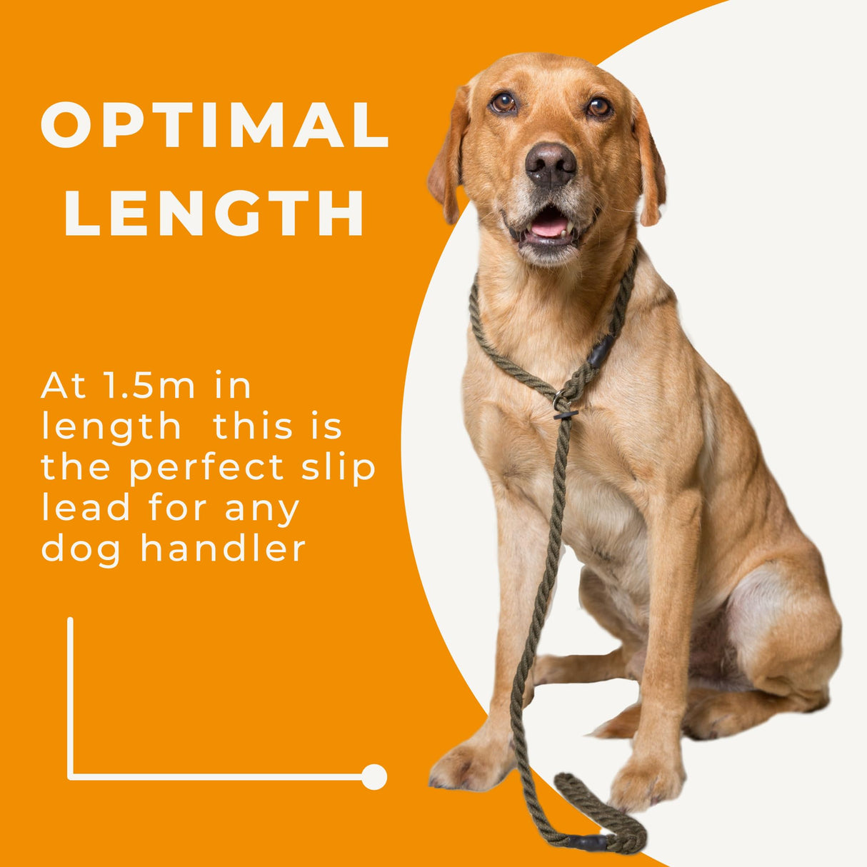 Dog & Field Deluxe Gundog Slip Leash - Olive Green. Soft Spliced Marine Rope Slip Leash for Dogs with Rubber Stopper, Easy to Slip On, No Collar Or Harness Needed. Training Lead for Dogs, One Size