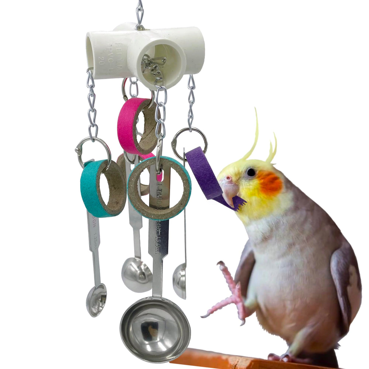 GILYGI Durable Bird Parrots Scoops and Bagel Toys, Pullable Stainless Steel Spoon and Cardboard Ring Toys for Small and Medium Bird Parakeets, Cockatiels, Conures, Budgie, Lovebirds, Finches