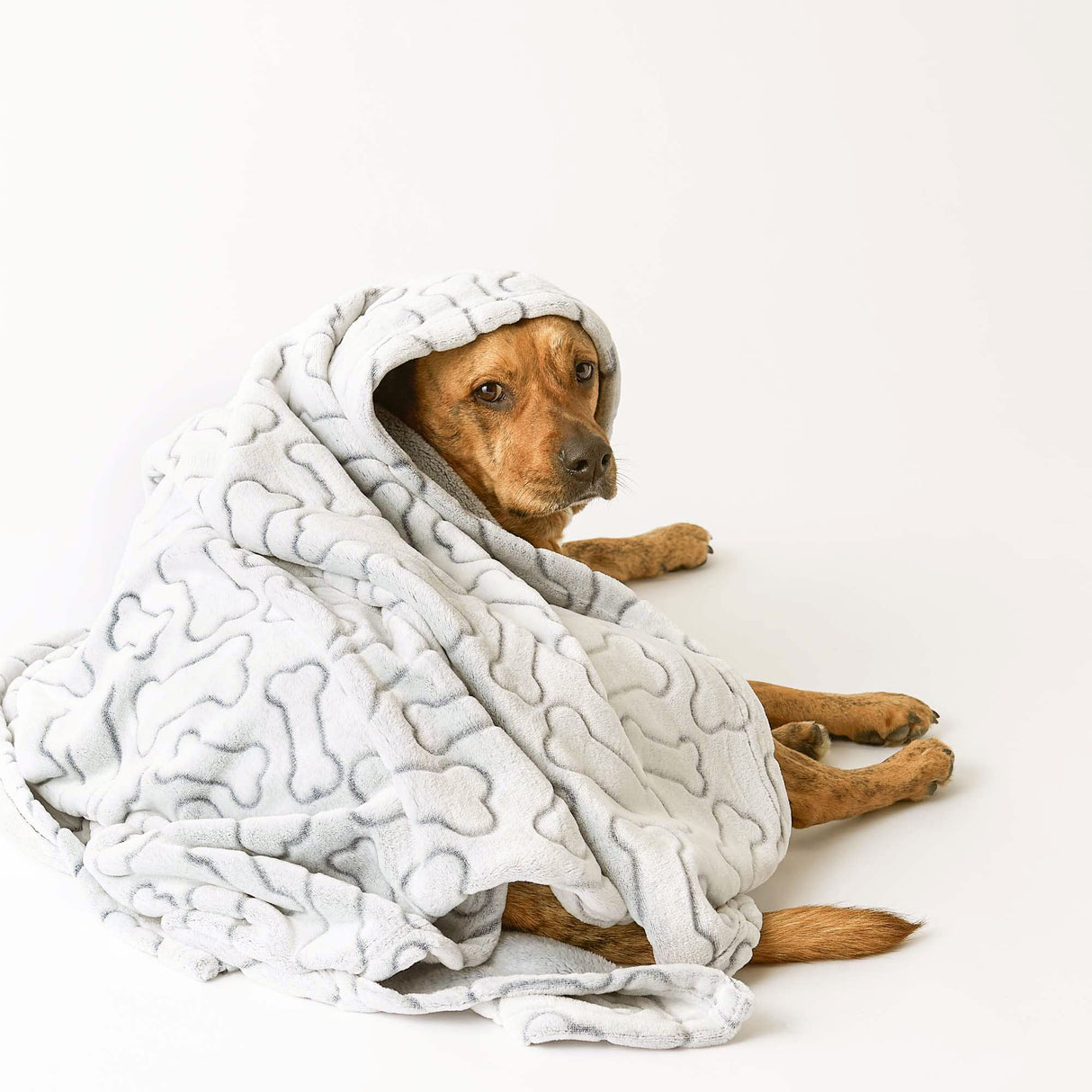 Bone Dry Embossed Bone Print Pet Blanket, 36x48", Taupe