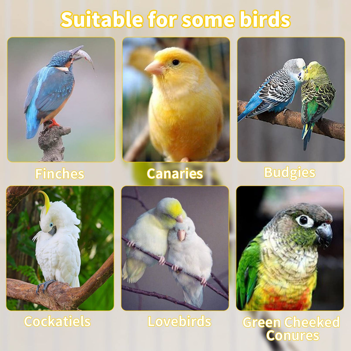 Hamiledyi Bird Perch for Cage Parakeet Stand Bird Cage Accessories Natural Wood Perch 5 Piece Set for Birds Platform Stick Playground for Small and Medium Sized Birds Cockatiel Parrot Conure