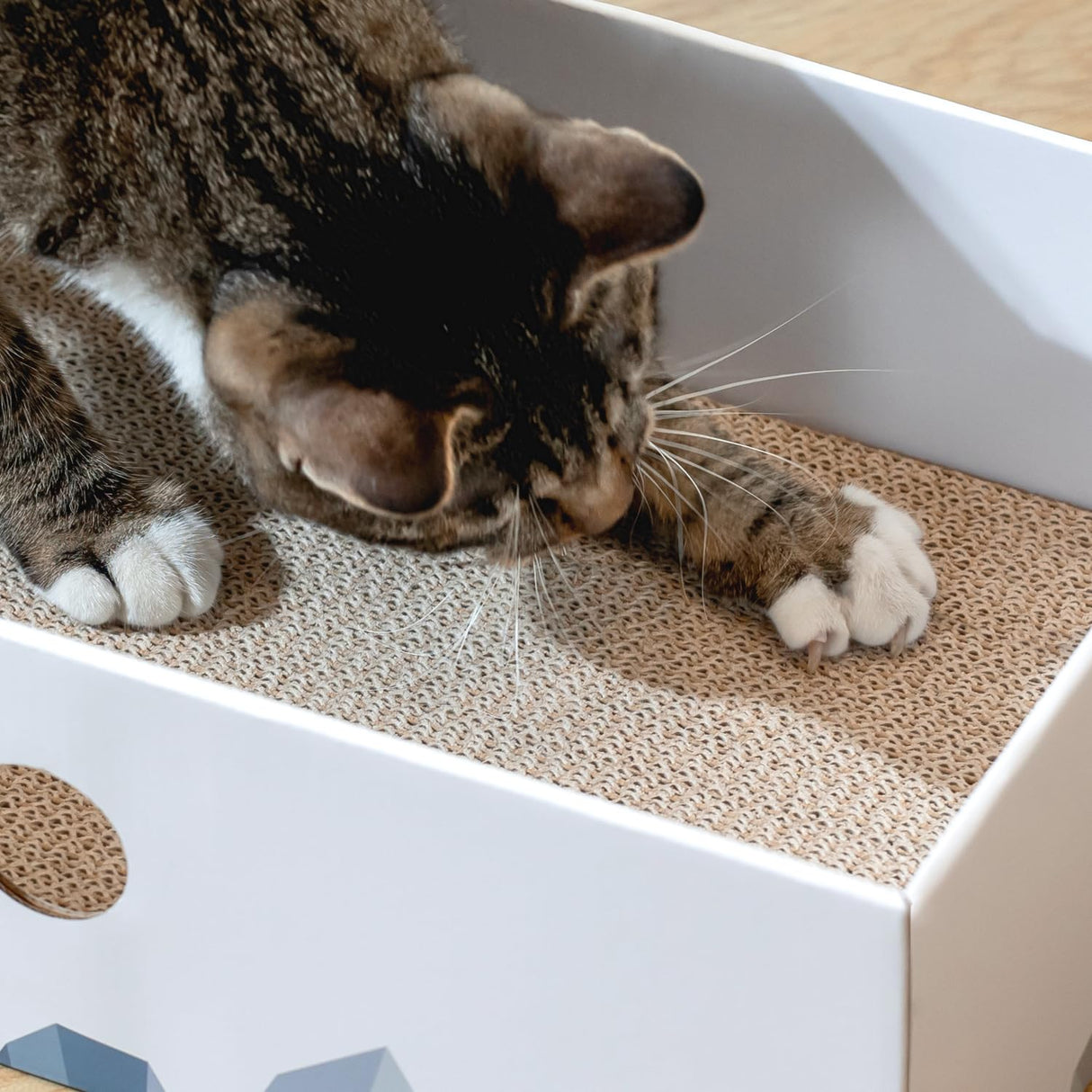 Conlun Cat Scratcher Box with Heavy-Duty Double-Sided Cardboard Pad, Cardboard Lounger, Interactive Hole Design, Cat Bed for Indoor Cats, White, Large