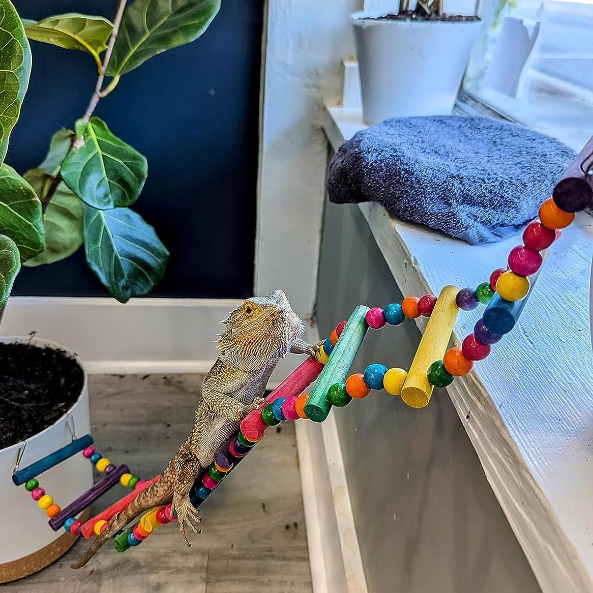 DS. DISTINCTIVE STYLE Bird Ladder Toys Coloured Flexible Parrot Swing Bridge Wooden Cockatiel Cage Hanging Climbing Ladder