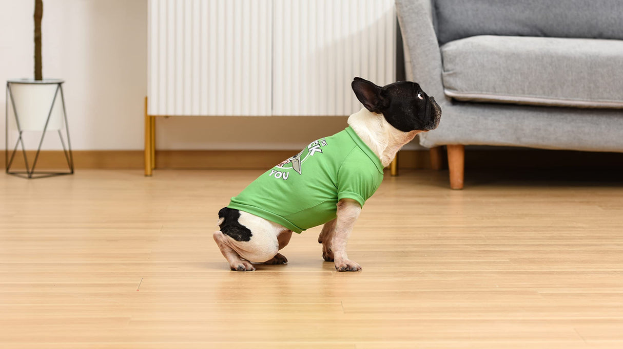 Star Wars Grogu May The Luck Be with You Tee for St. Patrick's Day | Green, Size Large | Cute Dog Clothes, Apparel