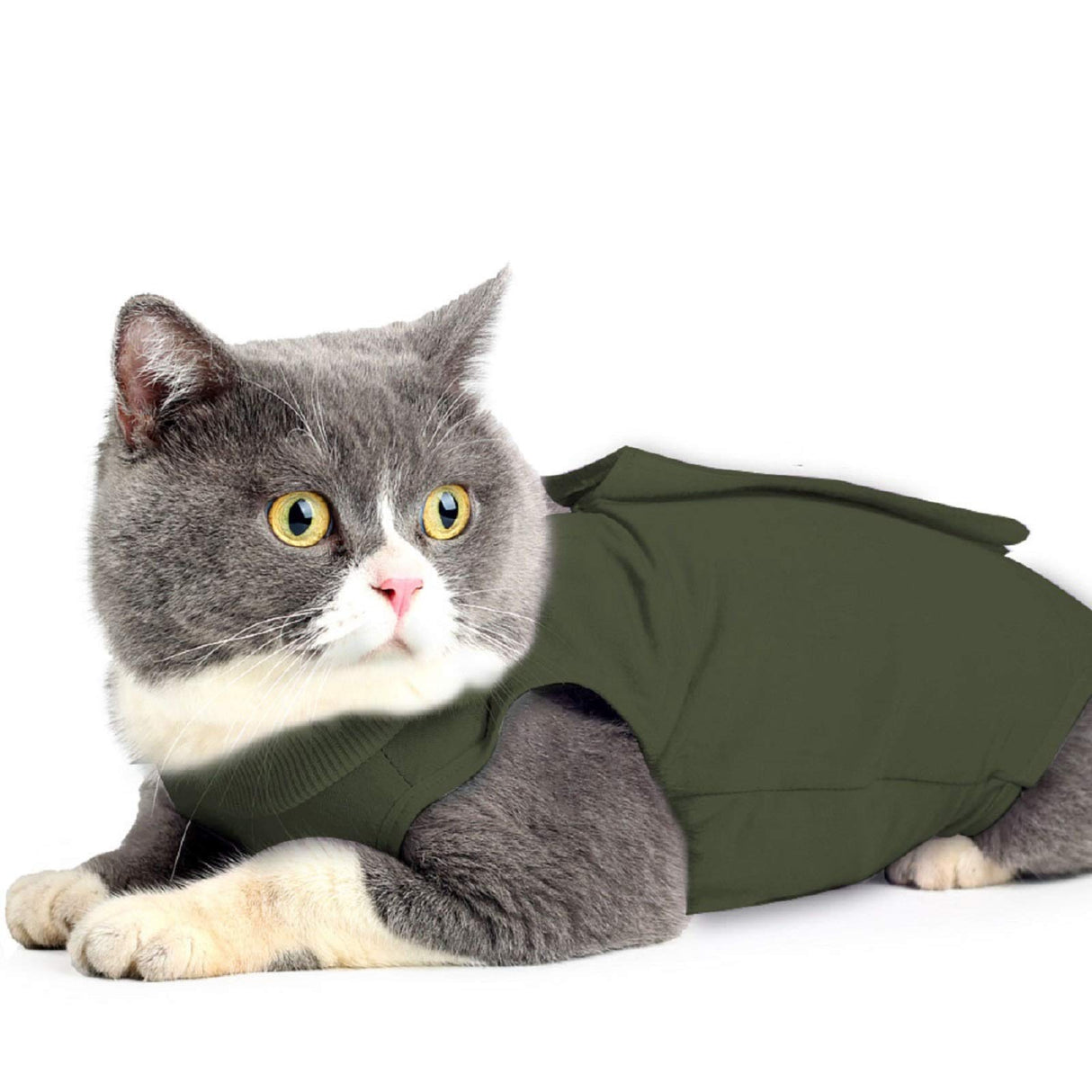 oUUoNNo Cat Wound Surgery Recovery Suit for Abdominal Wounds or Skin Diseases, After Surgery Wear, Pajama Suit, E-Collar Alternative for Cats (M, ArmyGreen)