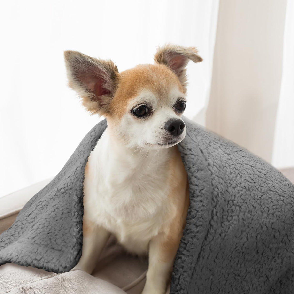 furrybaby Dog Blanket Soft Dog Blankets for Large Dogs Puppy Essentials Washable Sherpa Fleece Cat Blanket 32x40 Inches for Bed Furniture Couch Sofa (Medium, Grey)