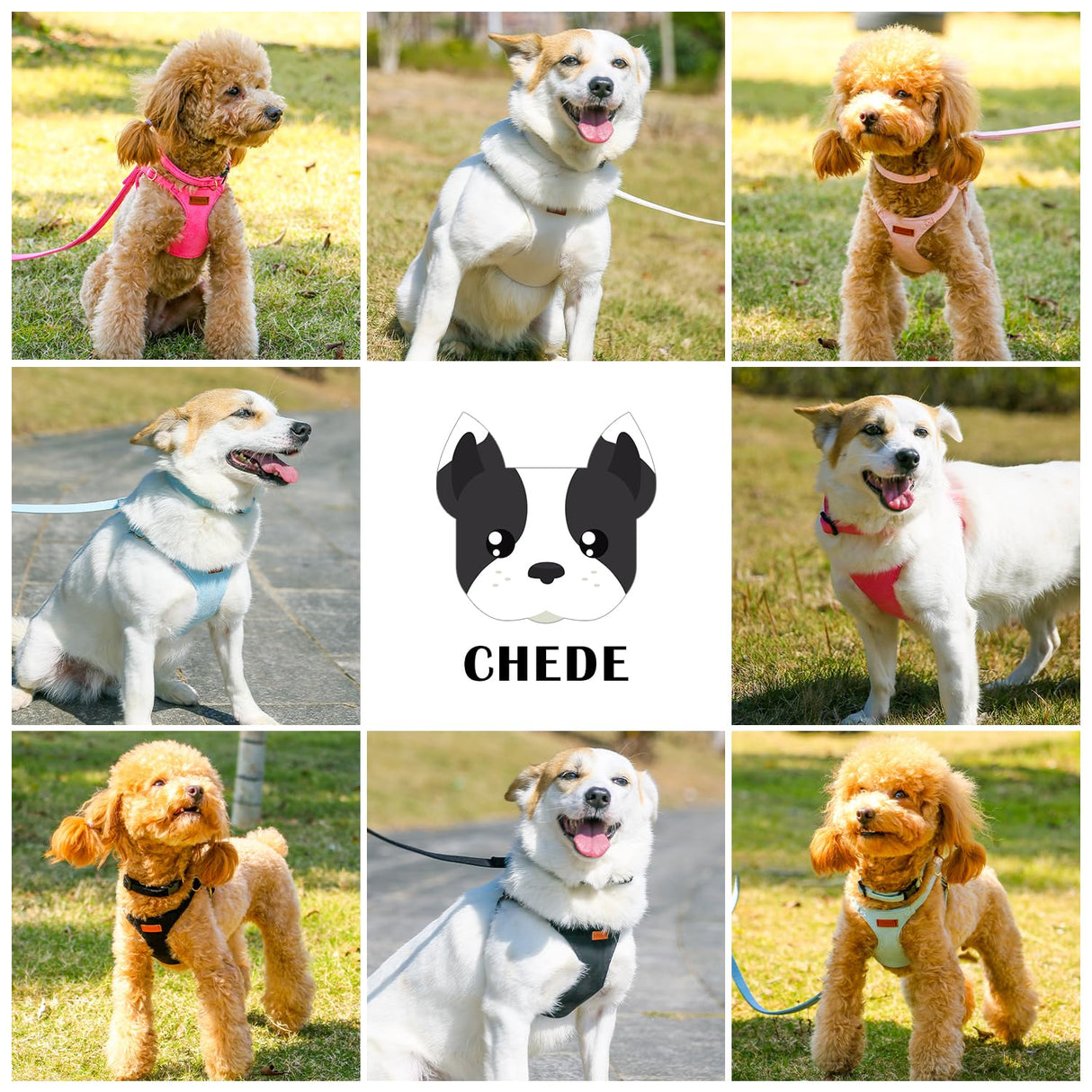 No Pull Dog Harness- Lightweight, Soft, Adjustable Small Harness Collar and Leash Set, Suitable for Cats Puppy Small and Medium-Sized Dog Outdoor Training and Running (hotpink, XXS)