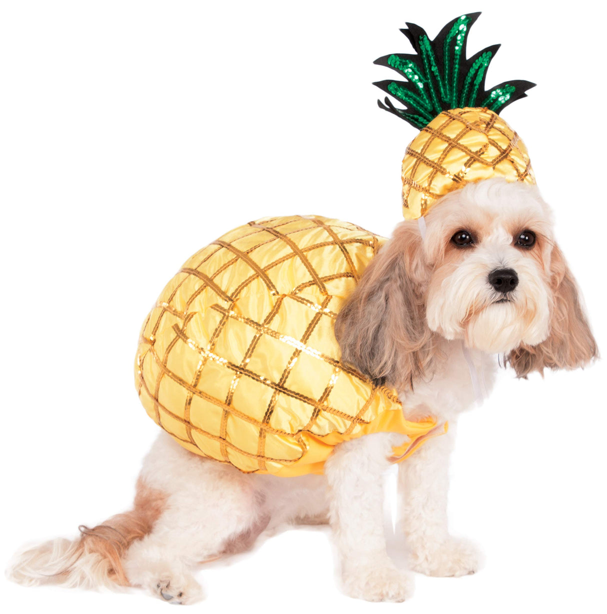 Rubie's Pineapple Pet Costume, Small