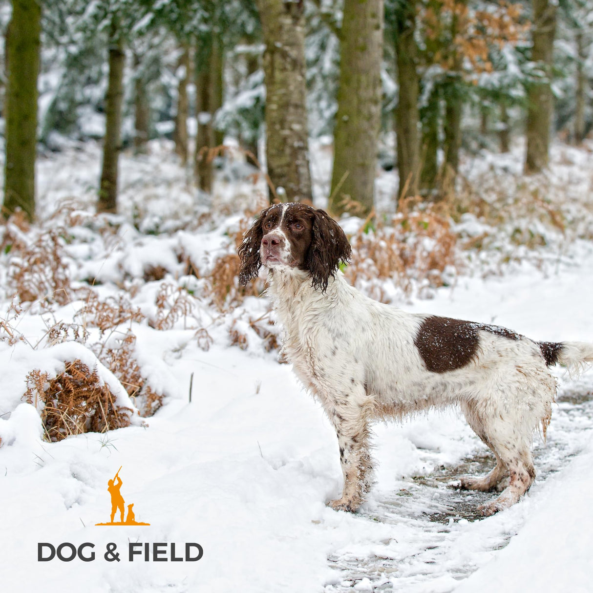 Dog & Field Deluxe Gundog Slip Leash - Olive Green. Soft Spliced Marine Rope Slip Leash for Dogs with Rubber Stopper, Easy to Slip On, No Collar Or Harness Needed. Training Lead for Dogs, One Size