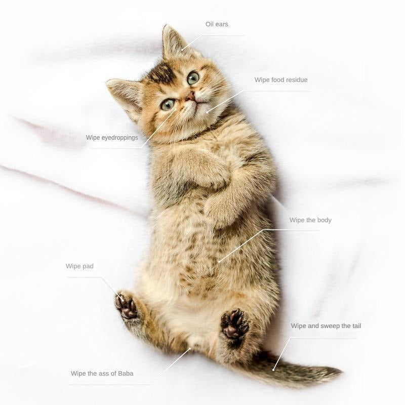 PET Cleaning Deodorizing Bathing Wipes ForDogs And Cats, Nourish Fur Coconut OilGrooming Wipes For Dogs, Pet Cleaning GlovesWipes For Daily Care And Traveling.Hypoallergenic