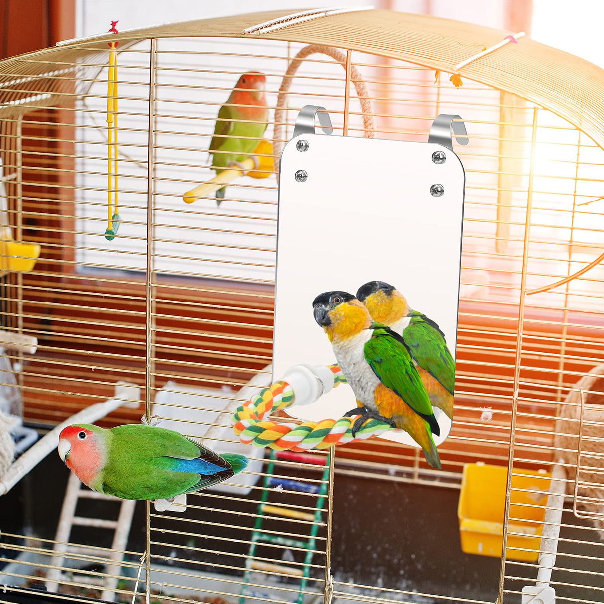 AHIER 7 Inch Bird Mirror with Rope Perch, Bird Toys Swing Parrot Grinding Stone with Bell for Parakeet Cockatoo Cockatiel Lovebirds Canaries