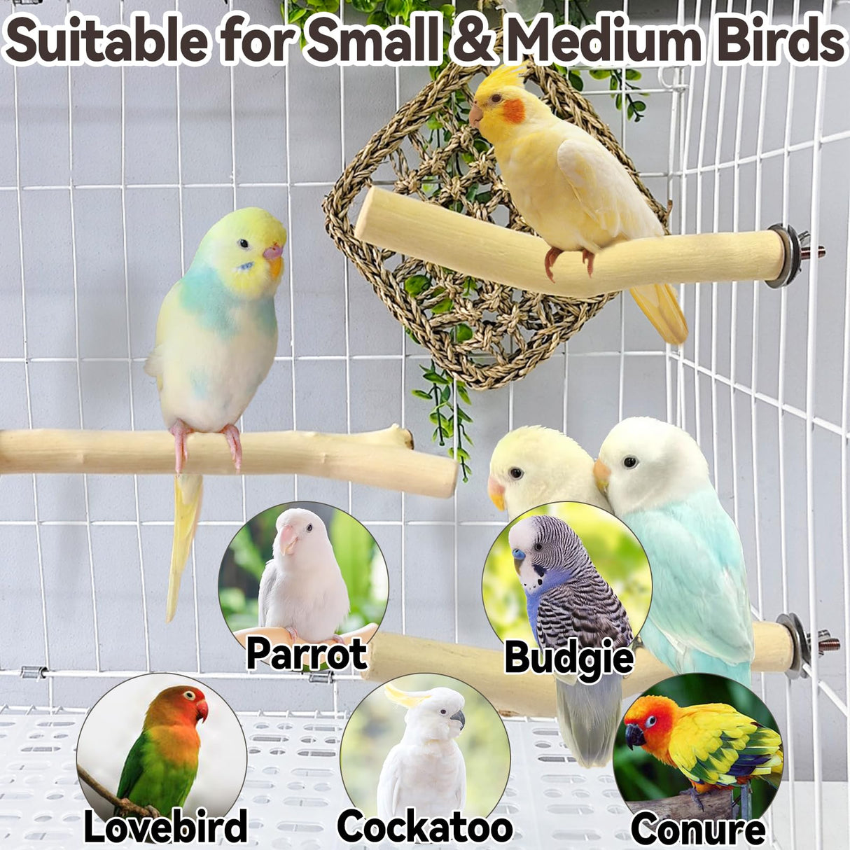 Hamiledyi Wood Bird Perch Stand Parrot Stand Branch Natural Wood Stick Paw Grinding Cage Accessories for Small Birds Parrots Parakeets Cockatiels Conures Lovebirds(2 Pcs)