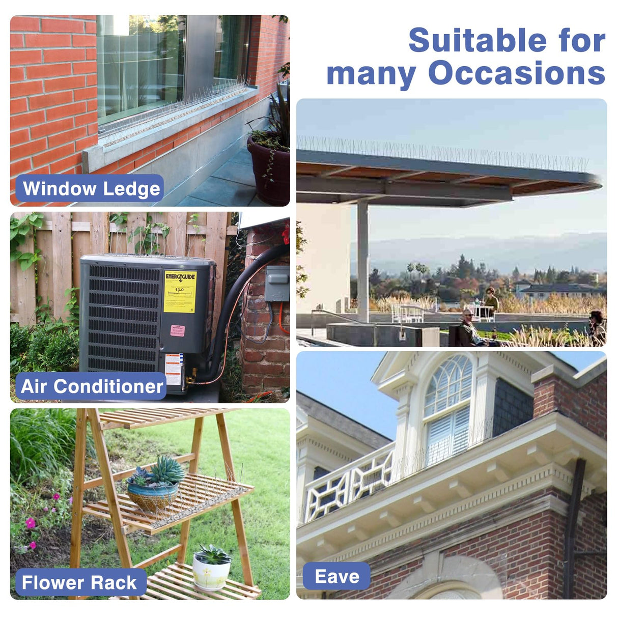 Bynccea Bird Spikes Stainless Steel Durable Bird for Small Birds, Poop-Disassembled Anti Bird Spikes Smooth Polishing Harmless Deterrent Nest Prevention Bird Off Spike