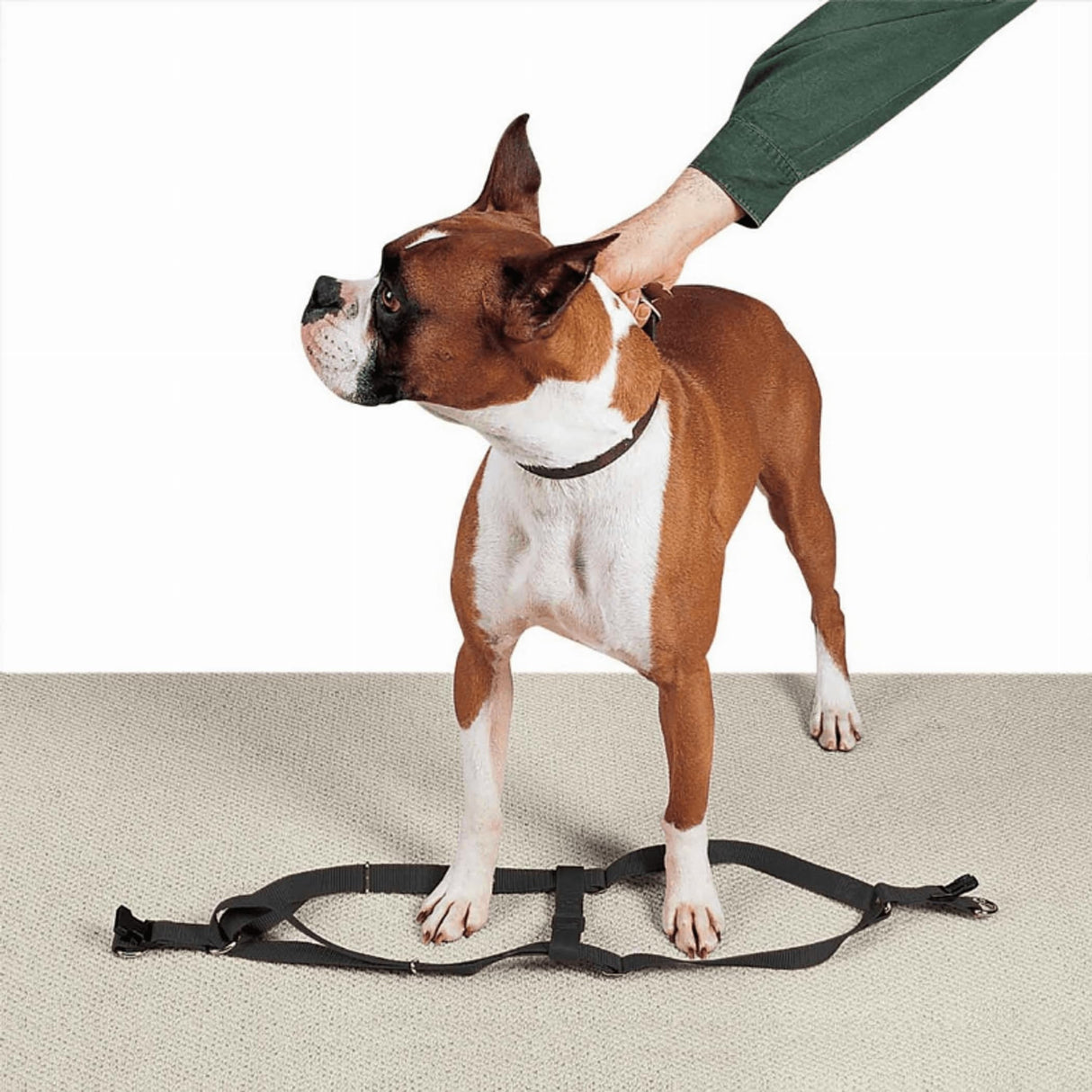 Guardian Gear 2 Step Pet Harness